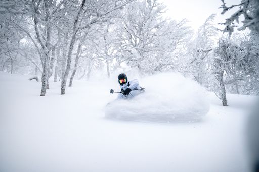 A skier going down a hill creating a snow spray, with snow covered trees around