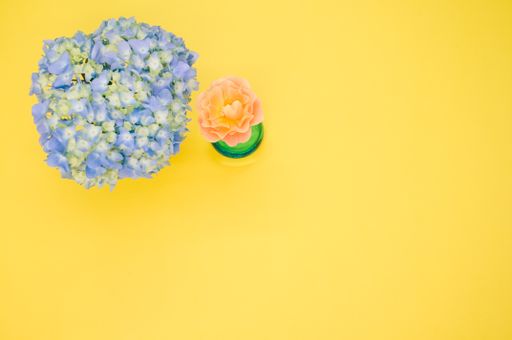 A closeup shot of blue hydrangea and polymer clay flower isolated on a yellow background