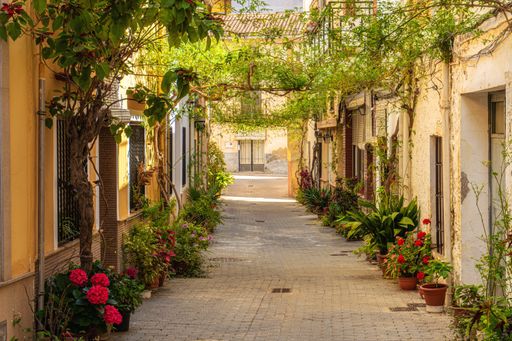 A beautiful village street decorated with pots of flowers and plants