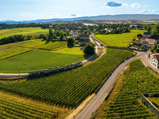 Train passing through scenic countryside near rural road