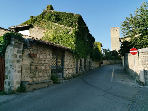 Stone building with ivy-covered facade on a charming street