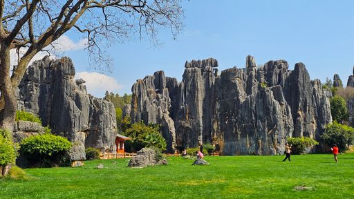 A serene landscape of Shilin Stone Forest located in China