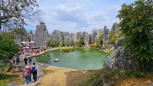 A tranquil landscape of Shilin Stone Forest in China