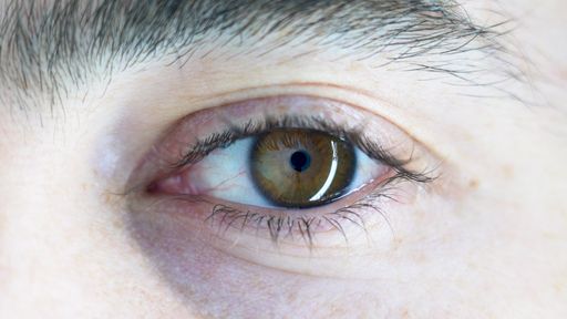 A closeup shot of a person's brown eye