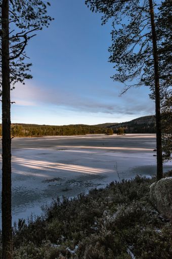 A vertical shot of a frozen lake surrounded by trees on a sunny day
