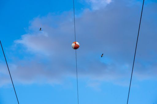 A low angle shot of a red and white ball hangs from a high-voltage power line with stork flying over