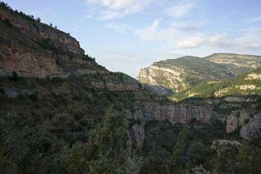 The mountains are covered in trees and the sky is clear. The view is breathtaking and peaceful.