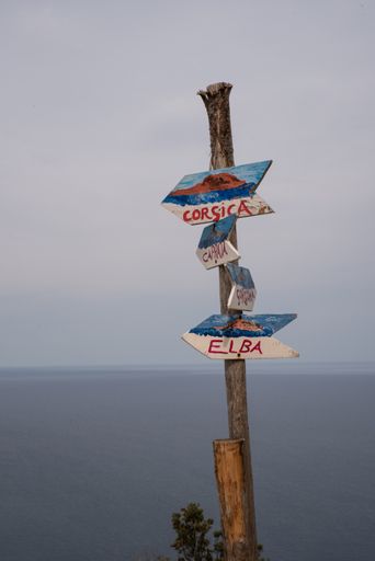 A vertical shot of four-way crossroad signs with a gray sky in the background