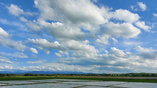 The beautiful scenery of rice paddy field under a cloudy sky in Nueva Ecija, Philippines