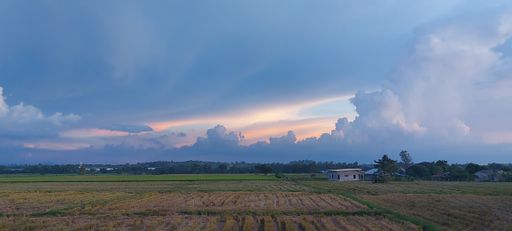 The beautiful scenery of rice paddy field under a cloudy sky in Nueva Ecija, Philippines