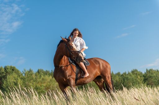 A girl riding a horse in a meadow with tall grass