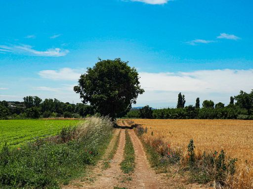 A rural landscape with fields and winding roads