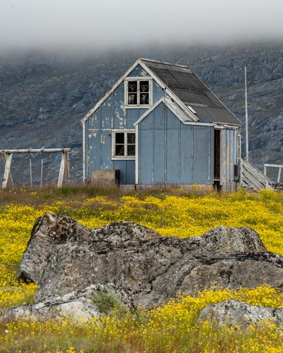 An old shack on a hill surrounded by flowers and grass