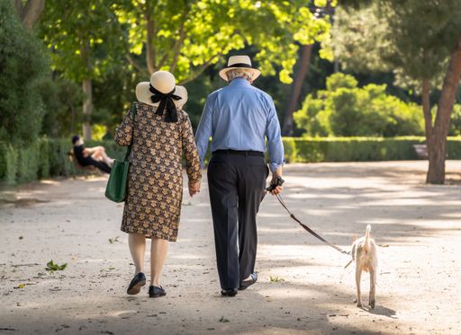 An elderly couple with a dog walking down the boulevard