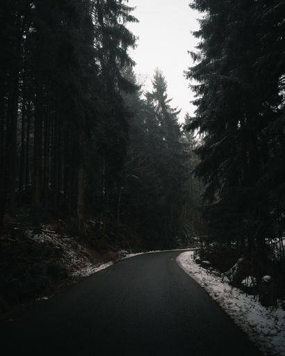A vertical shot of an empty road surrounded by a forest during winter