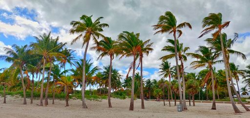 A beautiful, sunny, and breezy day at Crandon Beach Park in Miami, Florida