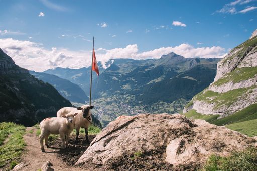 A beautiful landscape shot of rocky mountains and steep hills with two sheep standing on the side
