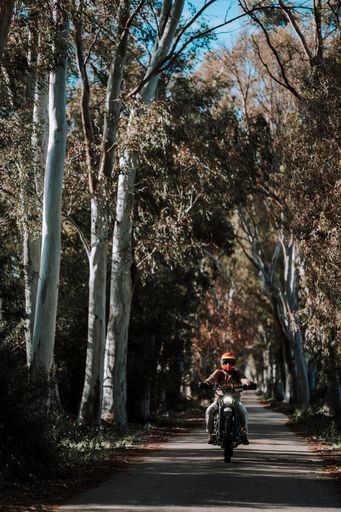 Man riding motorbike through trees against sky background
