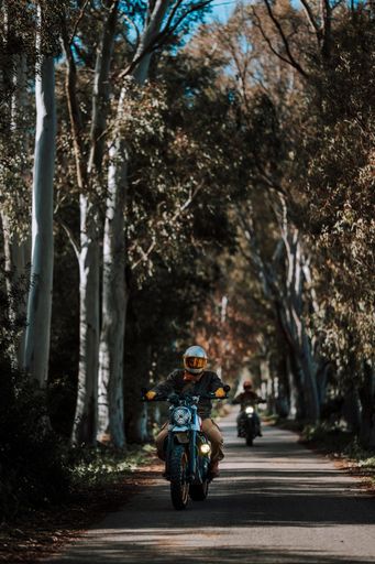 A Motorcyclist riding on tree-lined road