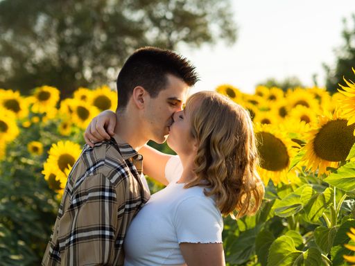 A portrait of a young cute couple kissing in a sunflower field