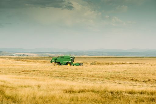 A green harvester working in a yellow agricultural field under a cloudy sky in Spain