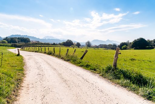 A dirt road in the middle of grassy field under a blue sky at daytime