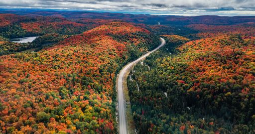 Highway near Colorful Trees in forest with lakes and blue cloudy sky. Aerial Nature Background. Ontario, Canada.
