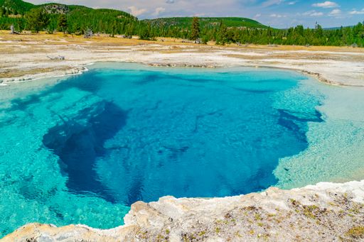 A Geyser in Yellowstone National Park