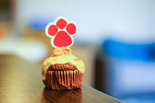 A closeup shot of a cupcake with a cute puppy palm candy on top