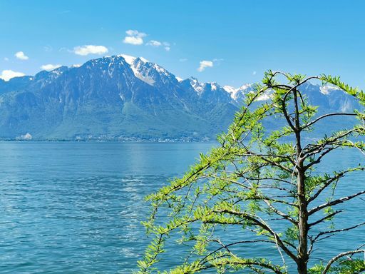 The Lake Geneva and in the background the Montblanc mountain in Switzerland
Europe