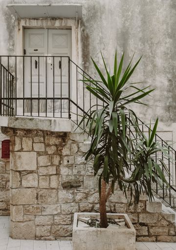 Neutral colors image of stone stairs leading to front door of old house