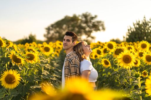 A closeup shot of a Caucasian lovely couple at the sunflowers field in Spain