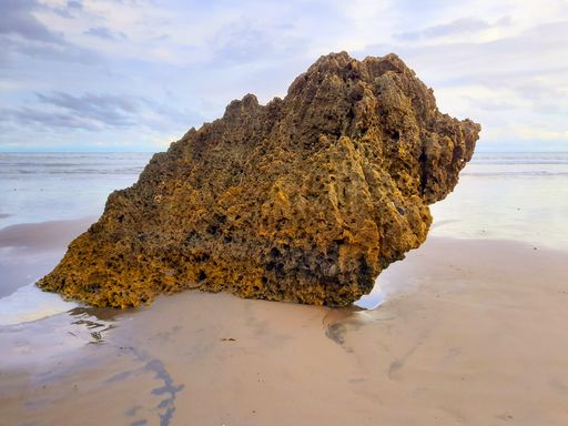 Single rock formation on a sand beach eroded to a sitting bird in profile view looking to the sea at Parangtritis beach, Yogyakarta, Java, Indonesia.