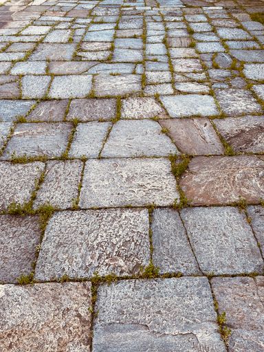 A brick path with grass between