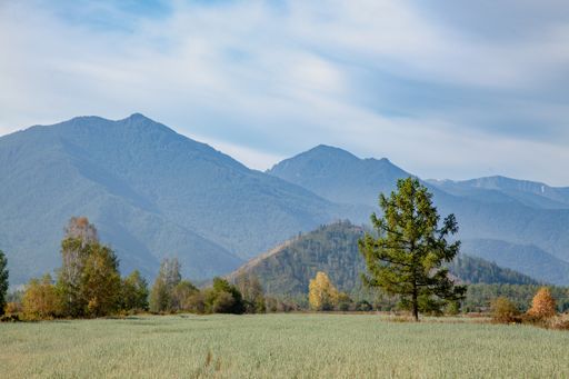 A field planted with crops against the backdrop of mountains and forests. There are beautiful clouds in the sky.