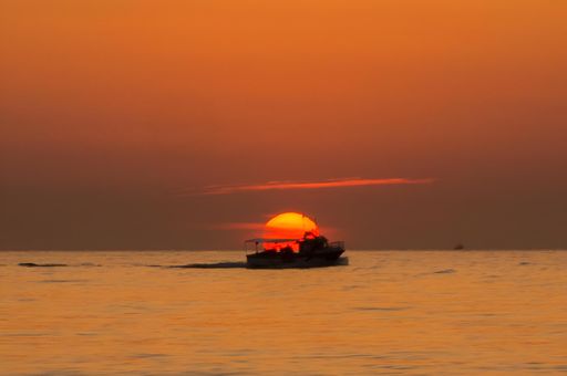 The Albufera of Valencia, with the sun on the horizon, the entire sky orange as a small boat crosses over the sun