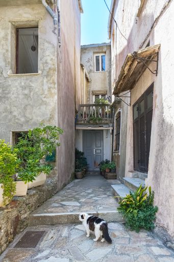 Corsica, Erbalunga, typical houses in the village in summer
