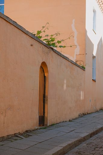 A vertical of light orange building with black metal door in rural area
