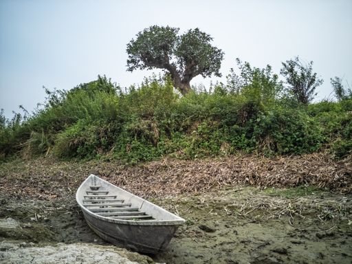A wooden boat on a gloomy lakeshore