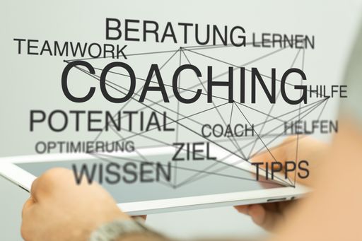 A person presenting the virtual projection of German coaching terms