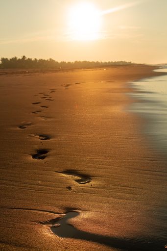 A closeup of footprints on the sandy beach at dawn