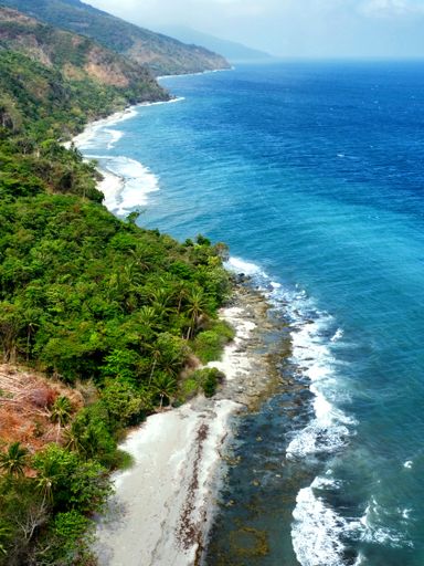 An Aerial view of a forested hill meeting coastline