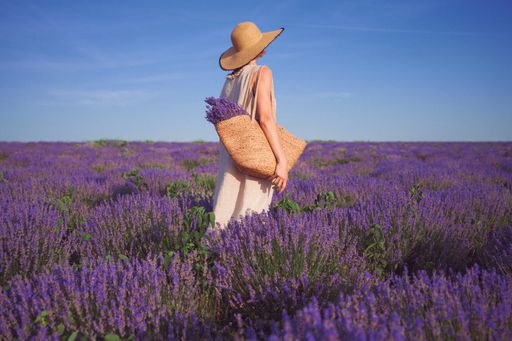 A female in a lavender field wearing a long dress, straw hat, holding a straw bag with lavenders