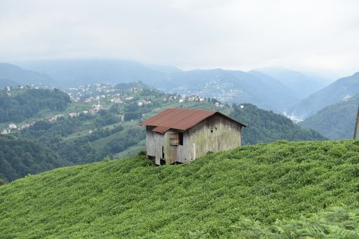 A scenic view of a wooden abandoned hut on a mountainous background