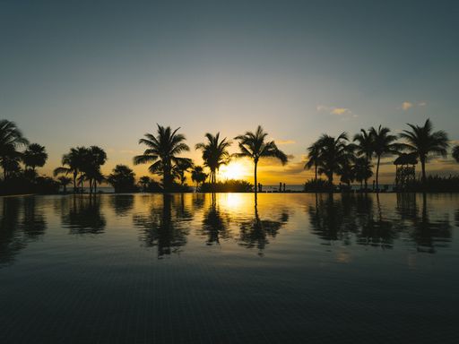 A tropical water surface at sunset with palm trees in silhouette