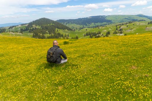 A back view of a young hiker with a backpack relaxing in the field
