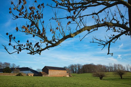 Rustic barn with trees in field