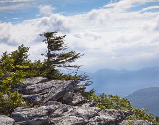 The unusual rock formations at Bear Rock in Dolly Sods Wilderness in West Virginia during summer