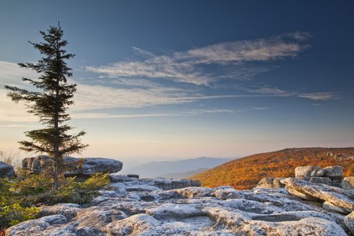 The unusual sandstone rock formations at Bear Rocks with fall colors in the background in Dolly Sods Wilderness, West Virginia