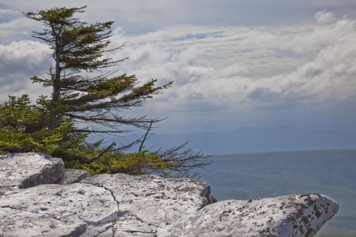 The unusual rock formations at Bear Rock in Dolly Sods Wilderness in West Virginia during summer